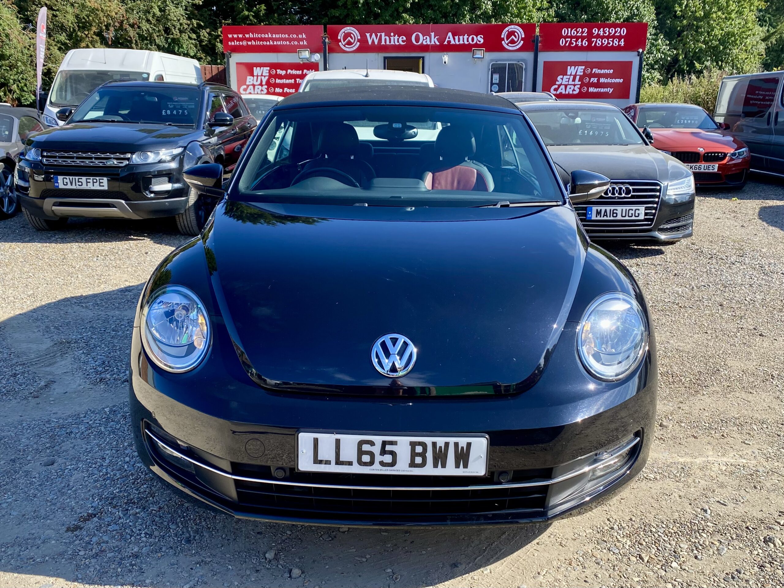 VOLKSWAGEN BEETLE CONV.