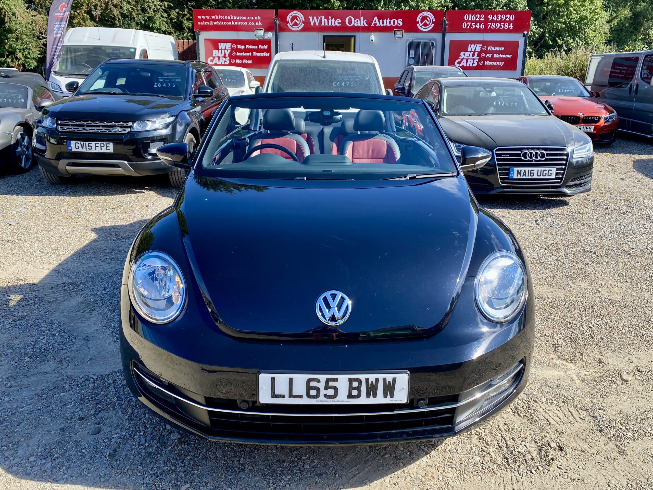 VOLKSWAGEN BEETLE CONV.